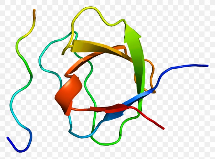 Adapter Molecule Crk Signal Transducing Adaptor Protein SH3 Domain Protein Structure, PNG, 851x629px, Watercolor, Cartoon, Flower, Frame, Heart Download Free