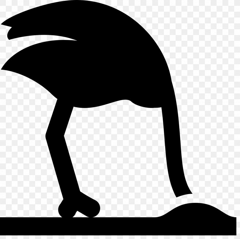 Common Ostrich Clip Art, PNG, 1600x1600px, Common Ostrich, Artwork, Beak, Bird, Black Download Free