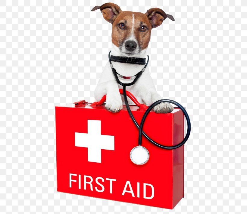 Dog Pet Sitting Pet First Aid & Emergency Kits First Aid Supplies, PNG, 463x708px, Dog, Cardiopulmonary Resuscitation, Companion Dog, Dog Breed, Dog Like Mammal Download Free