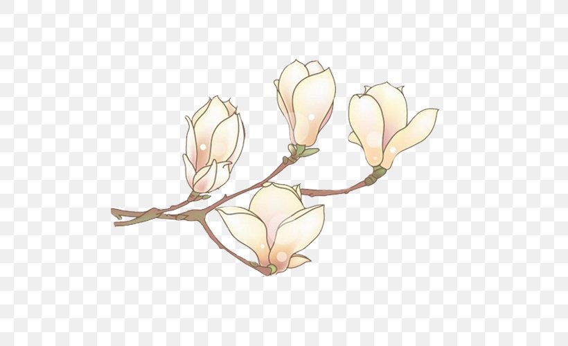 Narcissus Pseudonarcissus Plant Raster Graphics Bud, PNG, 500x500px, Watercolor, Cartoon, Flower, Frame, Heart Download Free