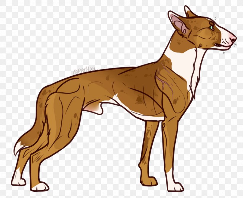 Spanish Greyhound Lurcher Italian Greyhound Whippet, PNG, 900x733px, Spanish Greyhound, Animal Sports, Azawakh, Bull Terrier, Carnivoran Download Free
