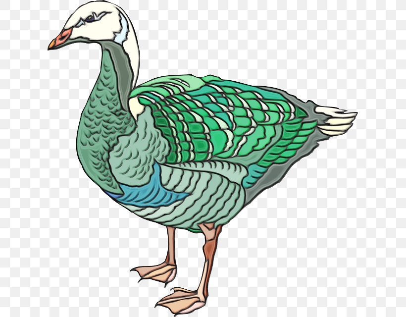 Bird Duck Goose Beak Water Bird, PNG, 627x640px, Watercolor, Beak, Bird, Duck, Ducks Geese And Swans Download Free