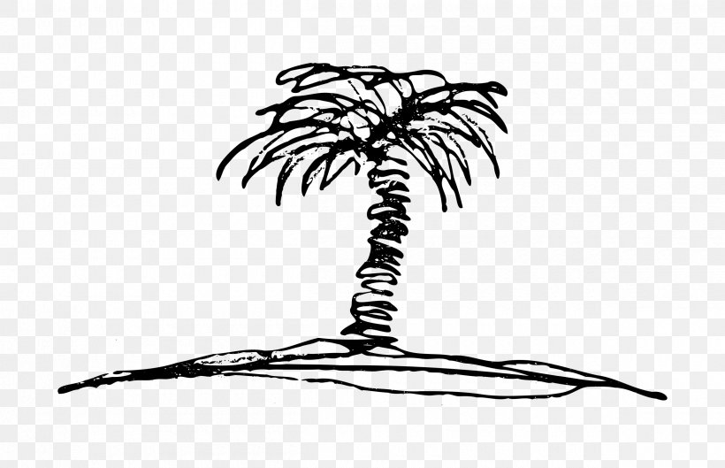 Drawing Clip Art, PNG, 2400x1551px, Drawing, Arecaceae, Arecales, Art, Black And White Download Free