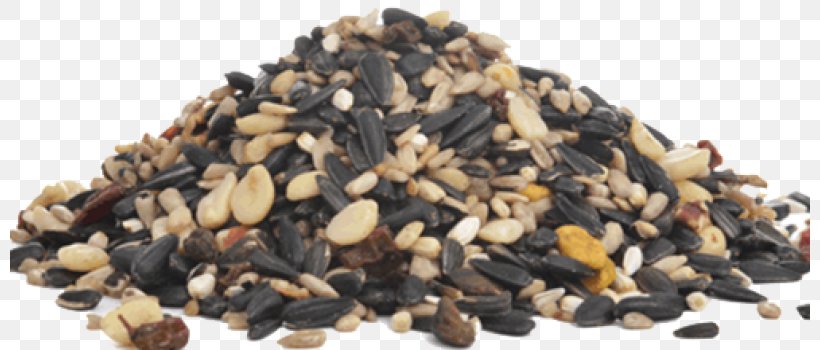 Nut Caraway Seed Cake Sunflower Seed Berry, PNG, 800x350px, Nut, Berry, Bird Food, Caraway Seed Cake, Commodity Download Free