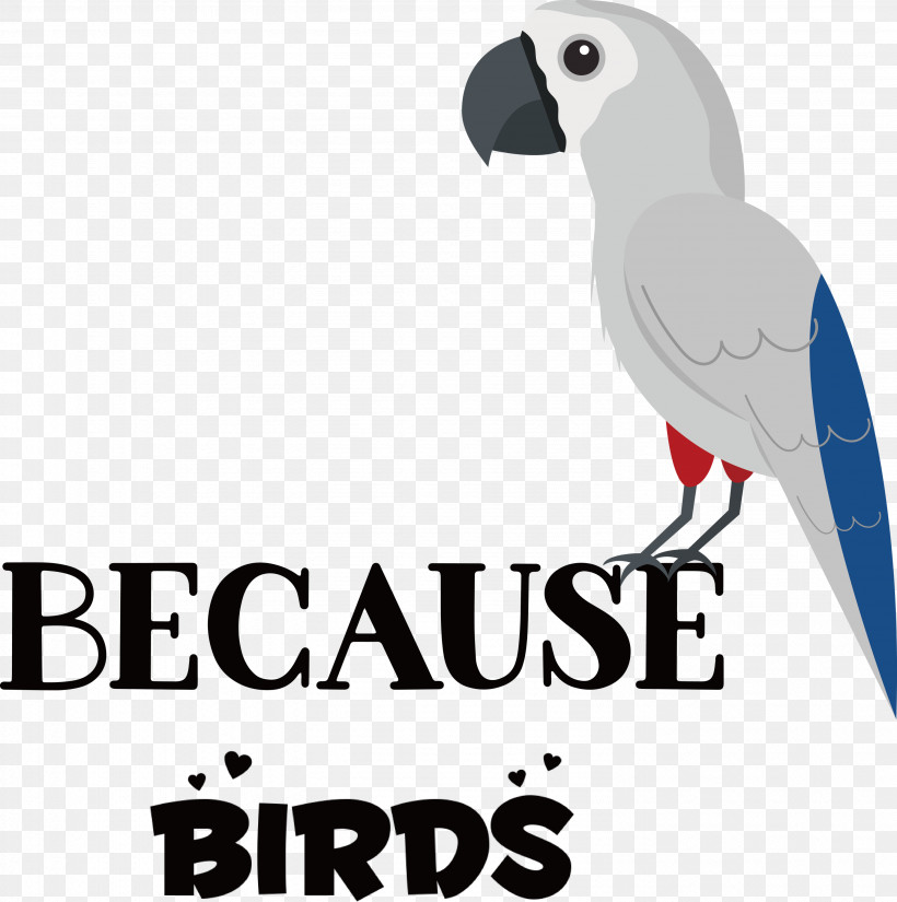 Because Birds Bird Animal, PNG, 2981x3000px, Bird, Animal, Beak, Biology, Birds Download Free
