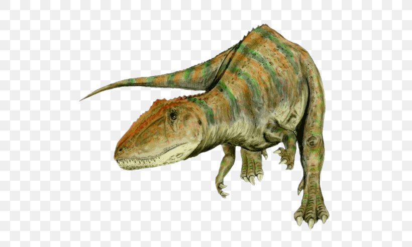 Carcharodontosaurus Giganotosaurus Tyrannosaurus Spinosaurus Allosaurus, PNG, 600x492px, Carcharodontosaurus, Allosaurus, Altispinax, Animal, Carcharodontosauridae Download Free