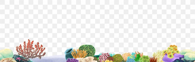 Coral Reef Desktop Wallpaper Clip Art, PNG, 1000x320px, Coral Reef, Computer, Coral, Coral Reef Fish, Deep Sea Download Free