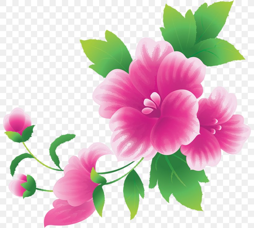Pink Flowers Clip Art, PNG, 800x736px, Flower, Annual Plant, Color, Drawing, Floral Design Download Free