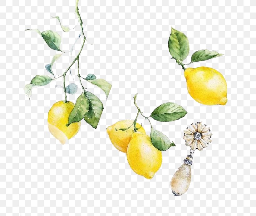 Visual Arts Lemon Watercolor Painting Illustration, PNG, 690x690px, Visual Arts, Art, Artist, Citric Acid, Citron Download Free