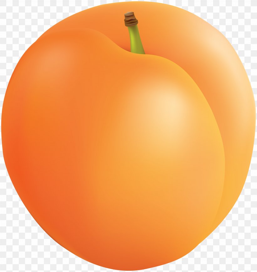 Apricot Fruit Clip Art, PNG, 7578x8000px, Apricot, Apple, Citrus, Clementine, Diet Food Download Free