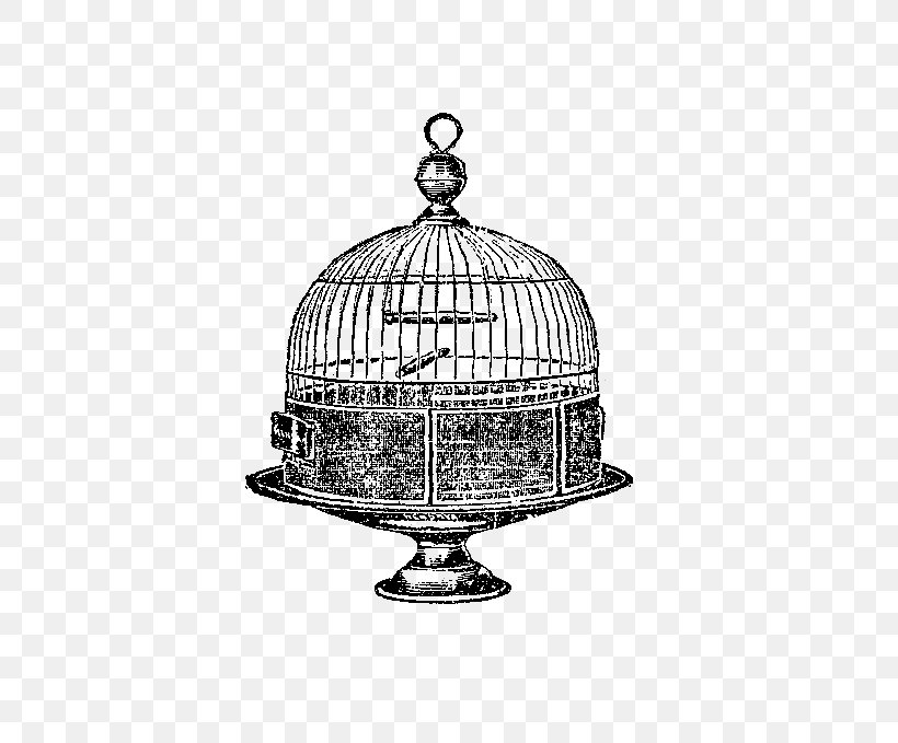 Birdcage Domestic Canary, PNG, 591x679px, Bird, Antique, Birdcage, Black And White, Cage Download Free