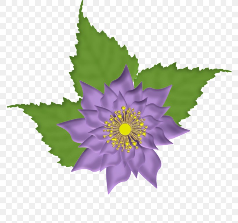 Flower Blume, PNG, 800x768px, Flower, Bayan Mod, Blog, Blume, Bookmark Download Free