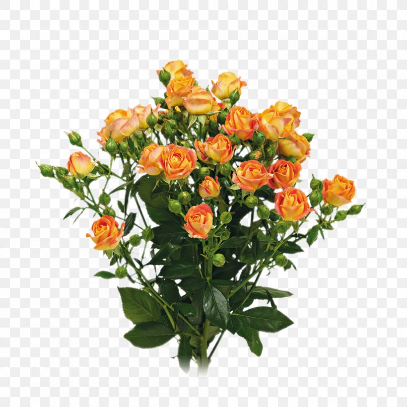 Garden Roses Floral Design Cut Flowers Flower Bouquet, PNG, 1000x1000px, Garden Roses, Annual Plant, Artificial Flower, Cut Flowers, Family Download Free