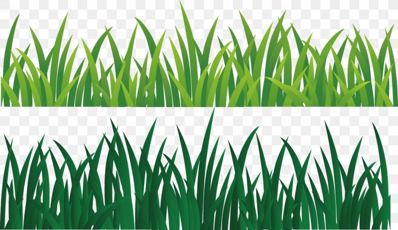 Green Ribbon, PNG, 1126x653px, Green, Commodity, Grass, Grass Family, Green Ribbon Download Free
