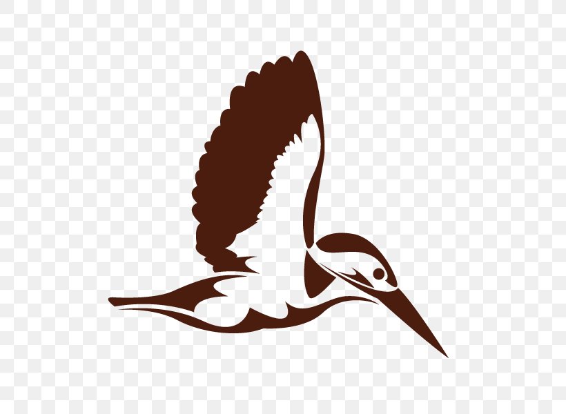 Hummingbird Kingfisher Clip Art, PNG, 600x600px, Bird, Azure Kingfisher, Beak, Drawing, Duck Download Free