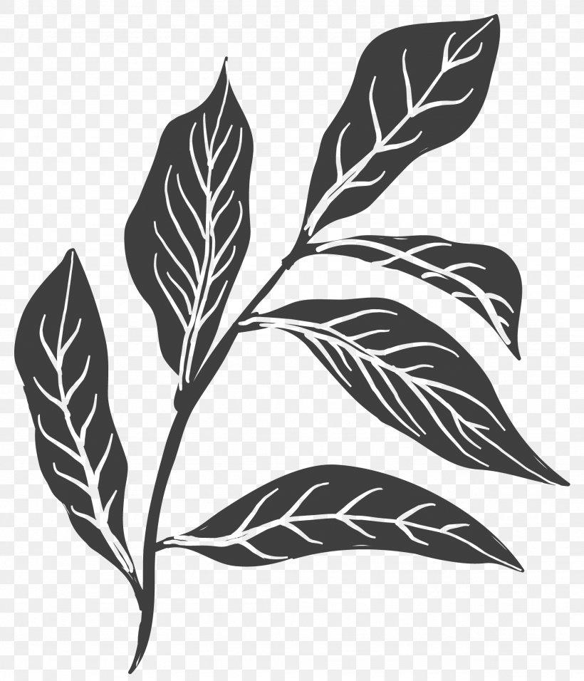 Leaf Clip Art, PNG, 1844x2150px, Leaf, Black And White, Branch, Flora, Monochrome Download Free