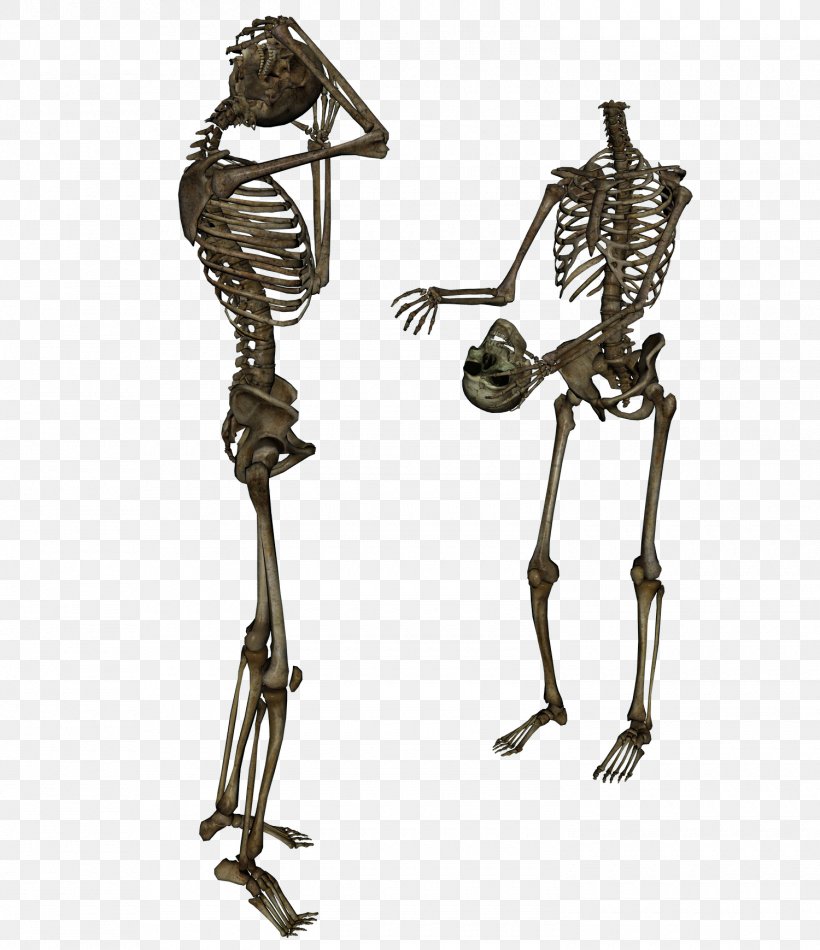 Skeleton Clip Art, PNG, 1500x1739px, Human Skeleton, Art, Bbcode, Bone, Drawing Download Free