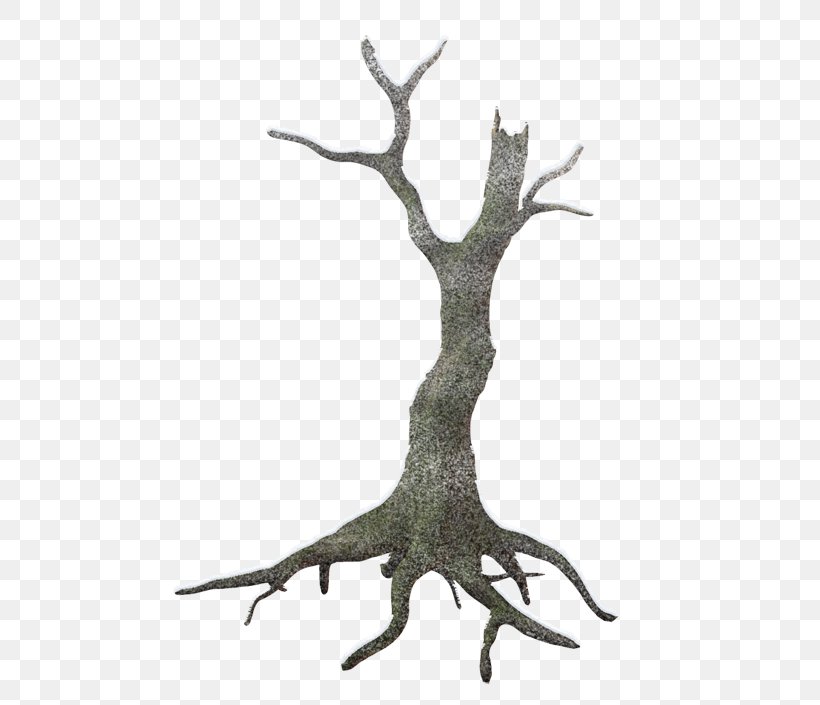 Trunk Tree Spruce Clip Art, PNG, 500x705px, Trunk, Antler, Branch, Fir, Forest Download Free