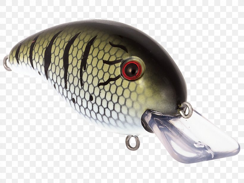 Spoon Lure Fishing Baits & Lures Plug Perch Water, PNG, 1200x899px, Spoon Lure, Bait, Color, Divemaster, Fish Download Free