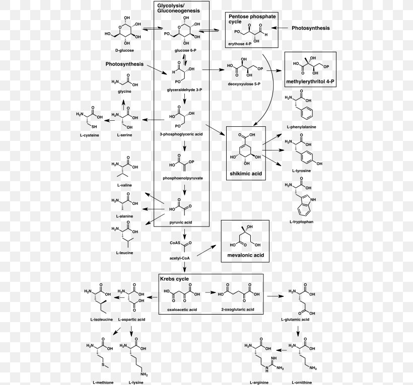 Biosynthesis Secondary Metabolite Natural Product Organism, PNG, 520x765px, Watercolor, Cartoon, Flower, Frame, Heart Download Free