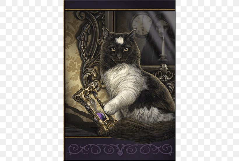 Black Cat Tabby Cat Magic Art, PNG, 555x555px, Cat, Art, Artist, Black Cat, Carnivoran Download Free