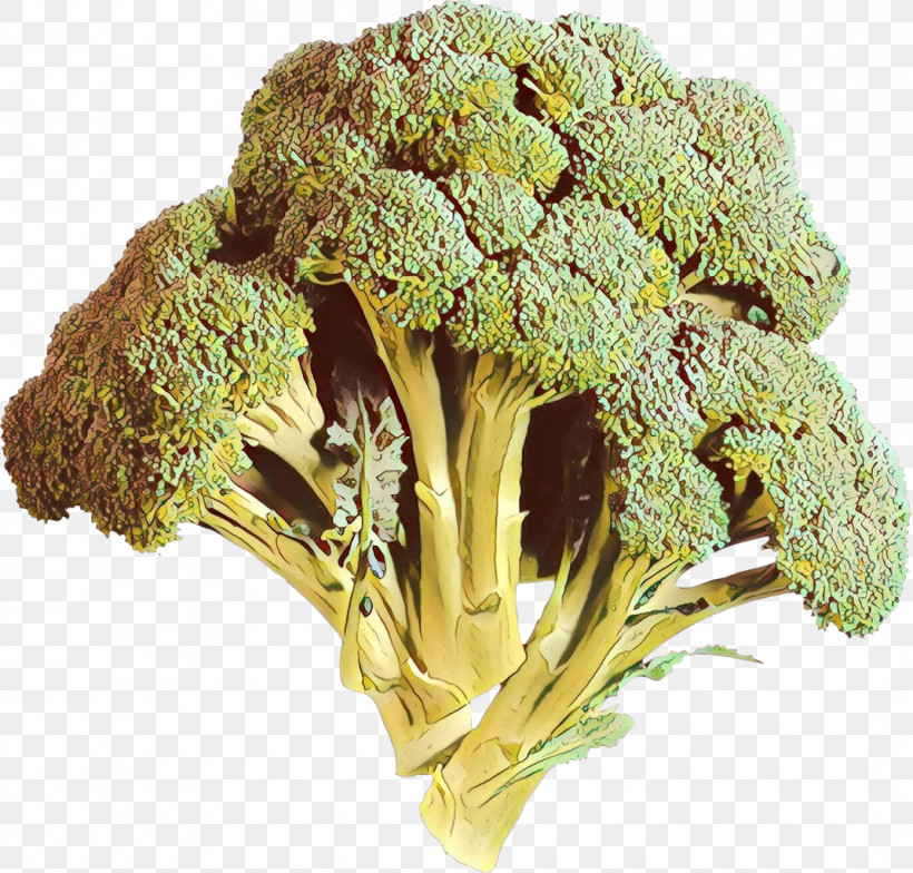 Broccoli Leaf Vegetable Vegetable Plant Food, PNG, 1070x1024px, Broccoli, Broccoflower, Flower, Food, Leaf Vegetable Download Free