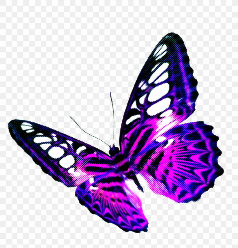 Butterfly Moths And Butterflies Purple Insect Violet, PNG, 1058x1100px, Butterfly, Brushfooted Butterfly, Insect, Moths And Butterflies, Pollinator Download Free