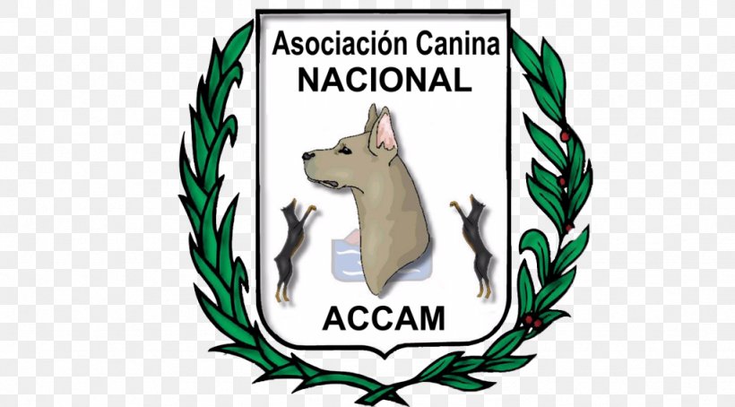 Dog Asociacion Canina Nacional ACCAM Canidae Purebred Molina De Segura, PNG, 1024x567px, Dog, Brand, Canidae, Canine Tooth, Carnivoran Download Free