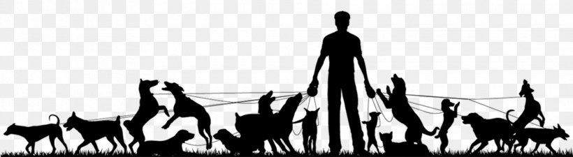 Dog Walking Pet Sitting, PNG, 1920x529px, Dog, Black, Black And White, Dog Walking, Mammal Download Free