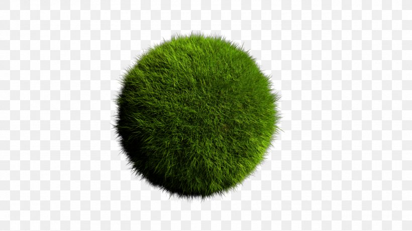 Green, PNG, 1280x720px, Green, Grass, Plant Download Free