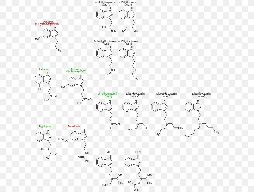 N,N-Dimethyltryptamine Serotonin Melatonin Tryptophan, PNG, 600x621px, Tryptamine, Amino Acid, Area, Body Jewelry, Bufotenin Download Free