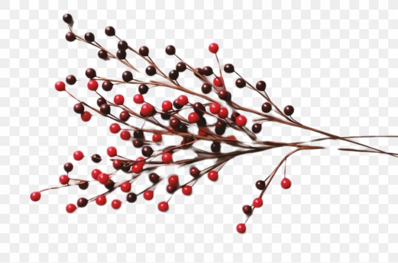 Pink Peppercorn Plant Tree Ilex Verticillataamerican Winterberry Branch, PNG, 2000x1320px, Pink Peppercorn, Branch, Flower, Fruit, Hawthorn Download Free