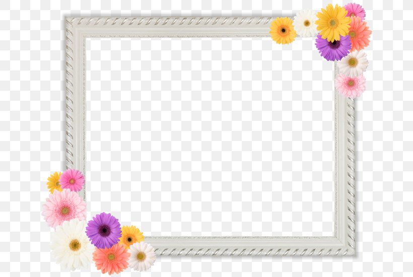 Cut Flowers Petal Picture Frames Flowering Plant, PNG, 671x550px, Flower, Cut Flowers, Flowering Plant, Petal, Picture Frame Download Free