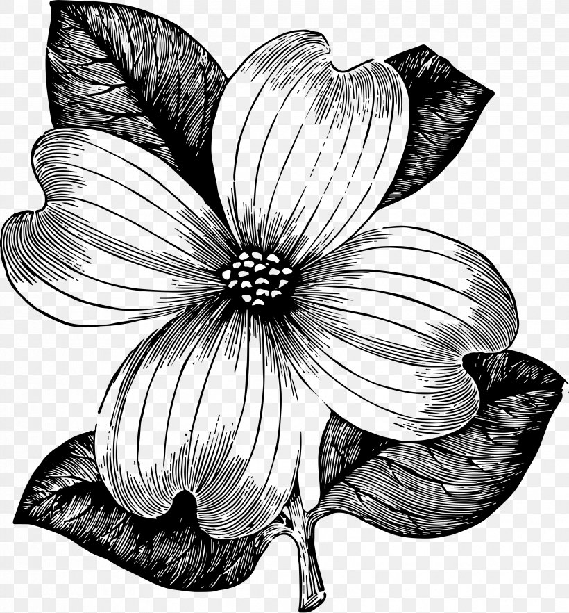 Floral Flower Background, PNG, 3346x3600px, Drawing, Alamy, Blackandwhite, Floral Design, Flower Download Free