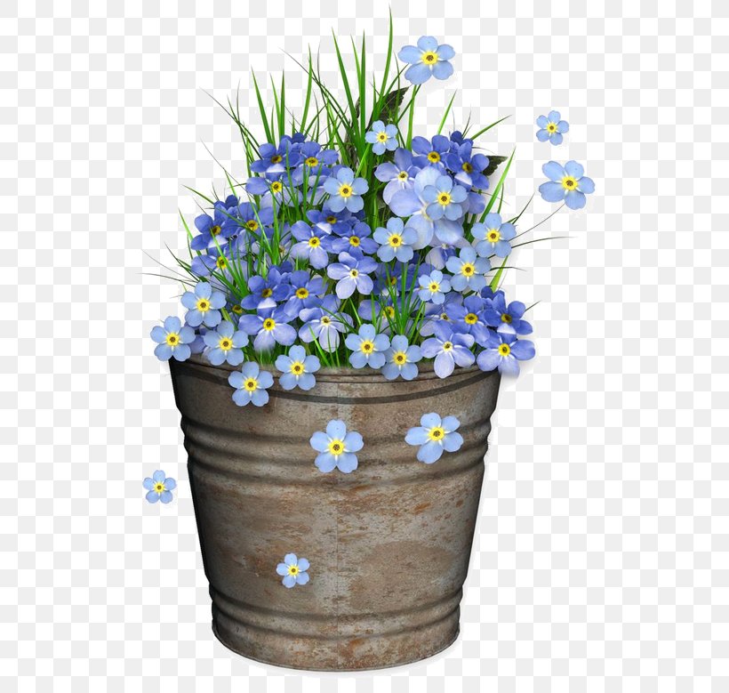 Flower Common Daisy Floral Design Clip Art, PNG, 536x779px, Flower, Artificial Flower, Blue, Borage Family, Borages Download Free