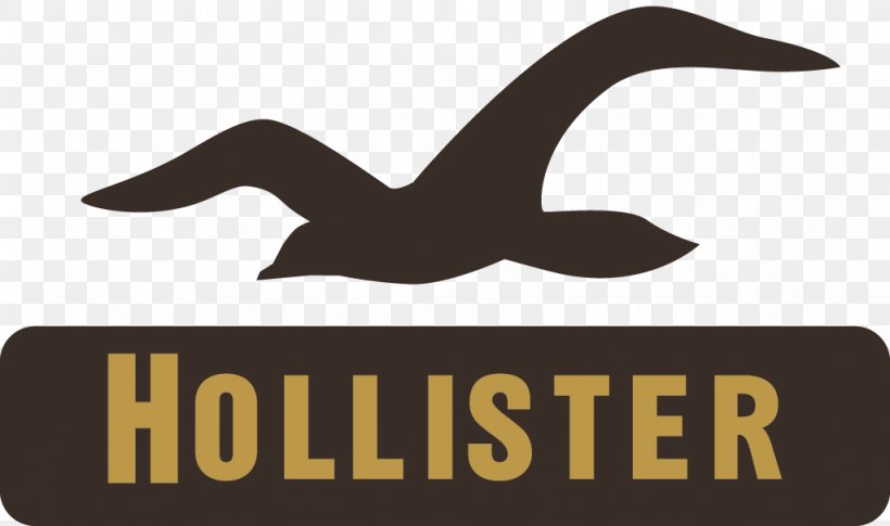 Hoodie Hollister Co. T-shirt Clothing Logo, PNG, 1024x606px, Hoodie, Abercrombie Fitch, Aeropostale, American Eagle Outfitters, Beak Download Free