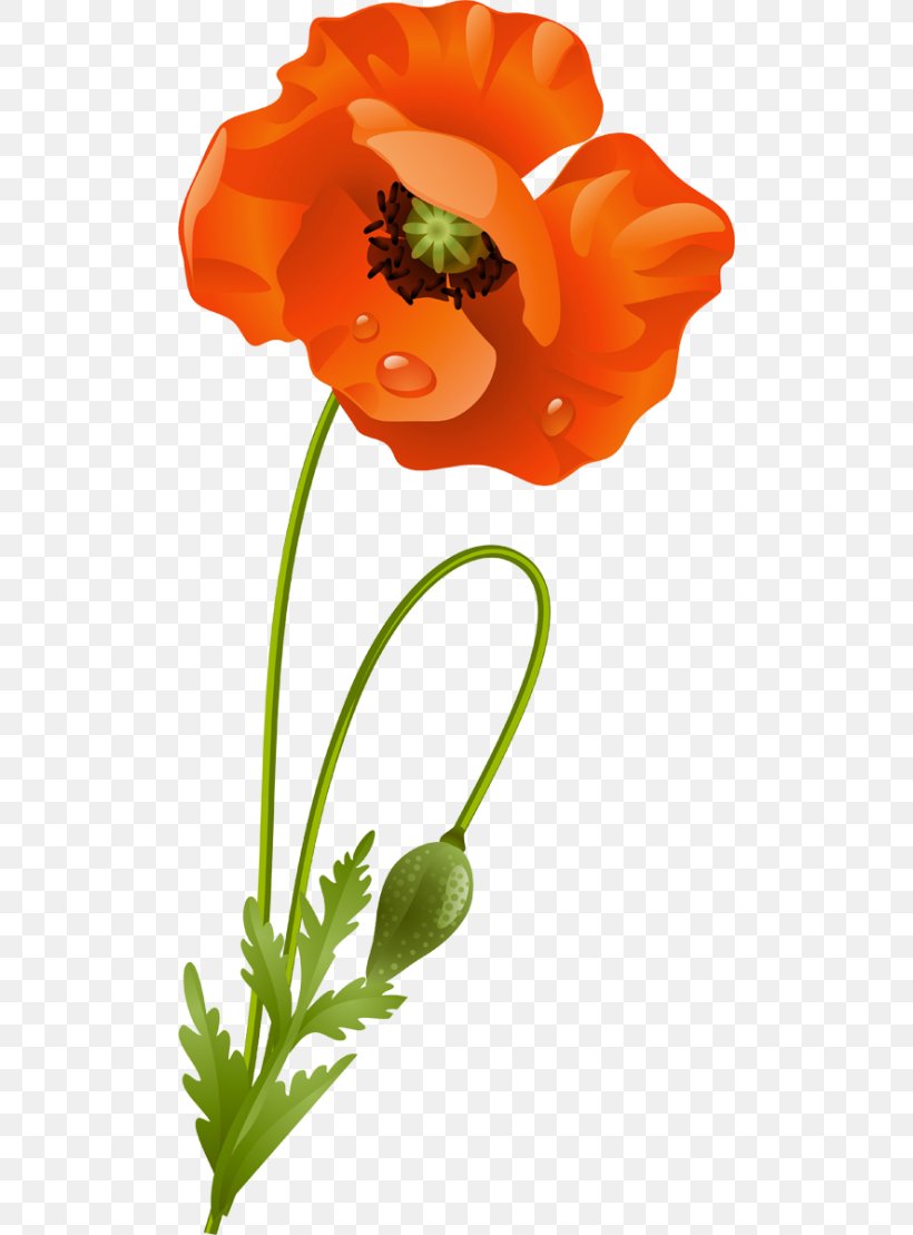 Flower Google Images Blume Clip Art, PNG, 500x1109px, 2012, 2016, 2017, Flower, Advertising Download Free