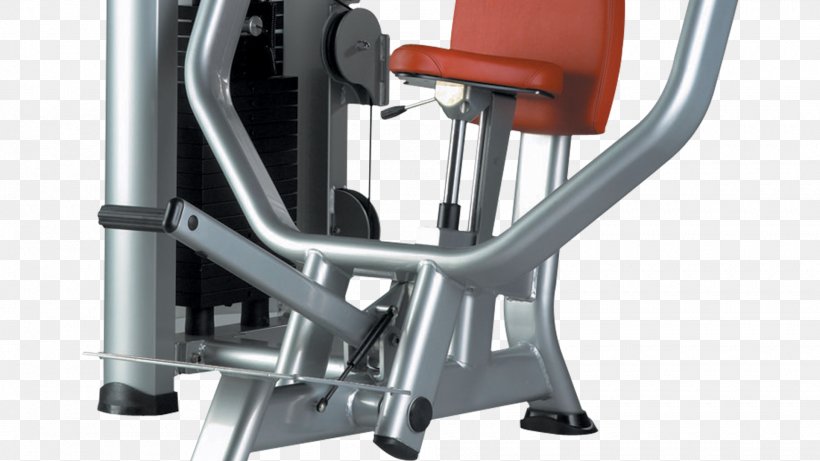 Overhead Press Weight Training Bench Press Physical Fitness Triceps Brachii Muscle, PNG, 1920x1080px, Overhead Press, Arm, Bench, Bench Press, Biceps Curl Download Free
