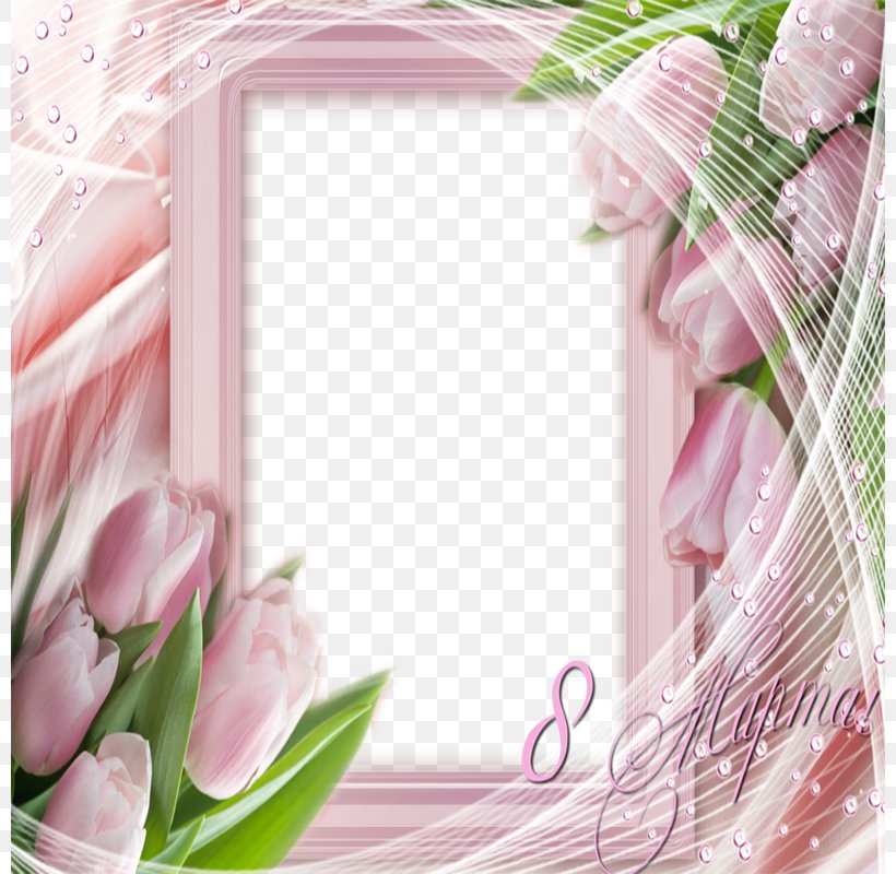 Picture Frame Floral Design Pink Flower, PNG, 800x800px, Picture Frame, Cut Flowers, Film Frame, Floral Design, Floristry Download Free