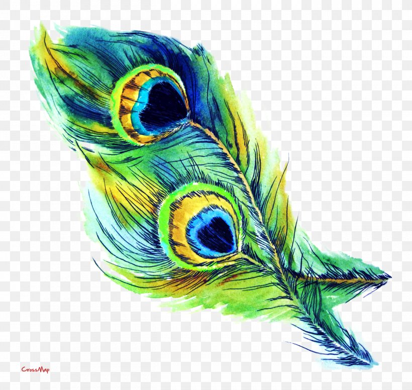 T-shirt Feather Peafowl Drawing Clip Art, PNG, 1353x1281px, Tshirt, Art, Beak, Bird, Color Download Free