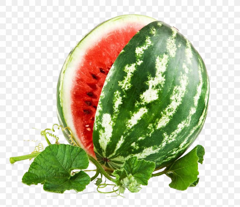 Watermelon Drawing Stock Photography Carving Clip Art, PNG, 1016x876px, Watermelon, Berry, Carving, Citrullus, Cucumber Gourd And Melon Family Download Free