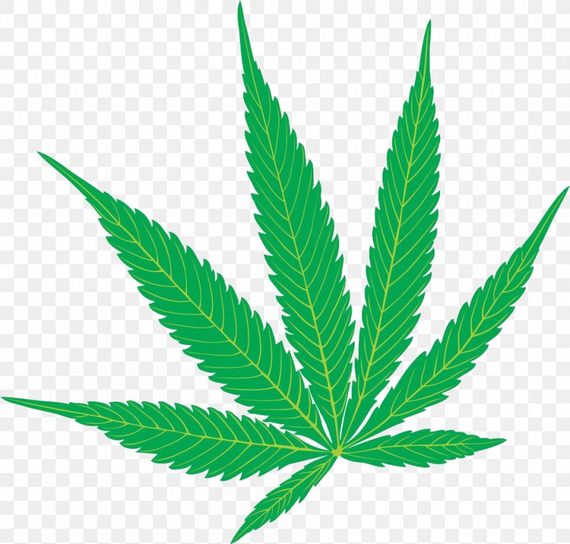 Cannabis Sativa Marijuana Hemp Clip Art, PNG, 1000x954px, Cannabis Sativa, Cannabis, Grass, Hemp, Hemp Family Download Free