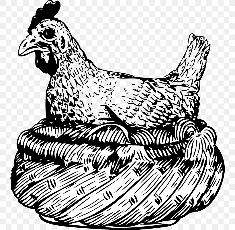 Chicken Hen Rooster Clip Art, PNG, 750x800px, Chicken, Art, Artwork, Beak, Bird Download Free