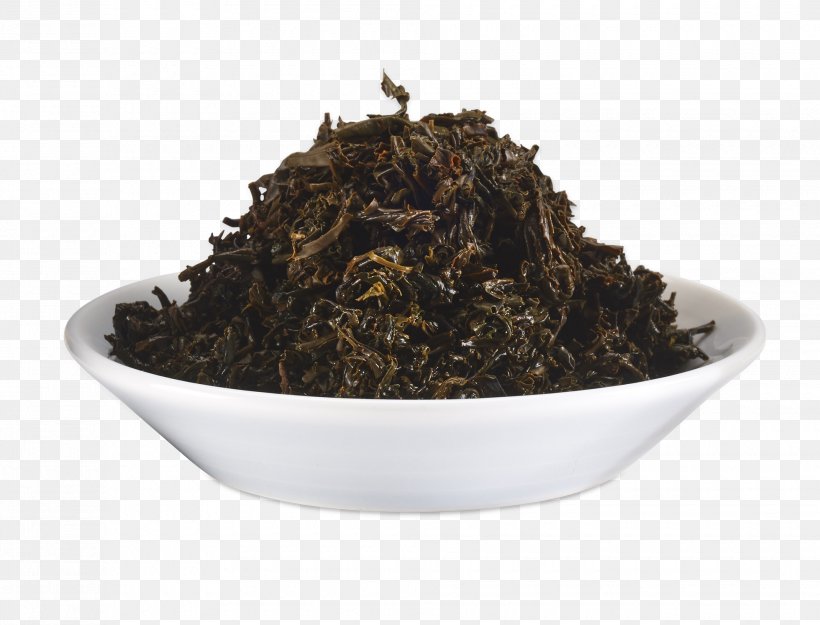 Nilgiri Tea Oolong Tsukudani Tea Plant Sea, PNG, 1960x1494px, Nilgiri Tea, Assam Tea, Bancha, Ceylon Tea, Da Hong Pao Download Free
