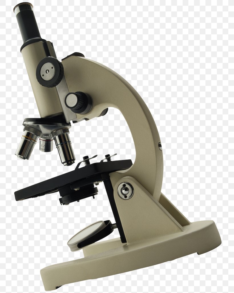 Optical Microscope Magnification, PNG, 750x1024px, Blu Ray Disc, Bacteria, Digital Microscope, Electron Microscope, Microorganism Download Free