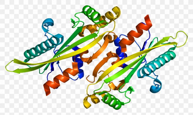 Protein Structure Gene Wiki Enzyme, PNG, 928x555px, Watercolor, Cartoon, Flower, Frame, Heart Download Free