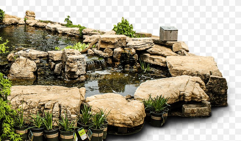 Rock Pond Garden Nursery Backyard, PNG, 932x548px, Rock, Backyard, Fish, Garden, Grass Download Free