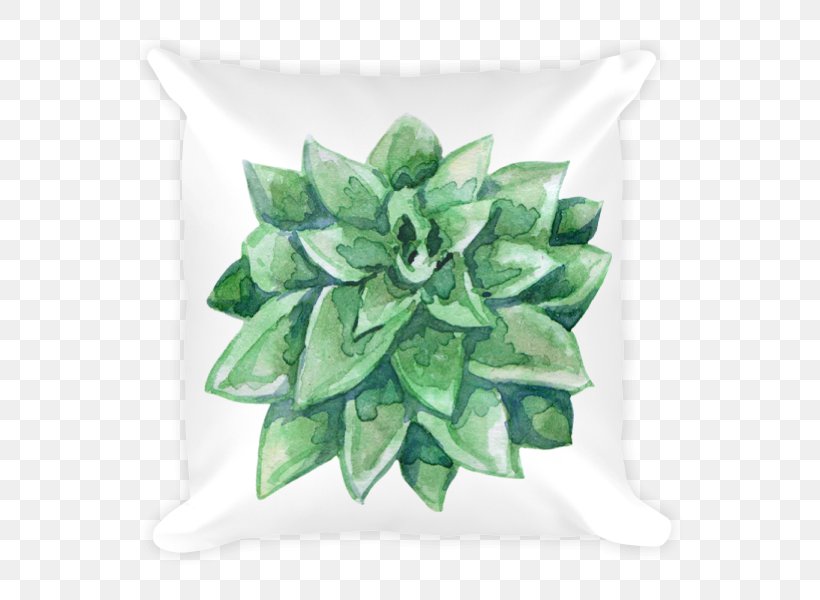 Succulent Plant Echeveria Cactaceae Pillow, PNG, 600x600px, Succulent Plant, Cactaceae, Echeveria, Green, Houseplant Download Free