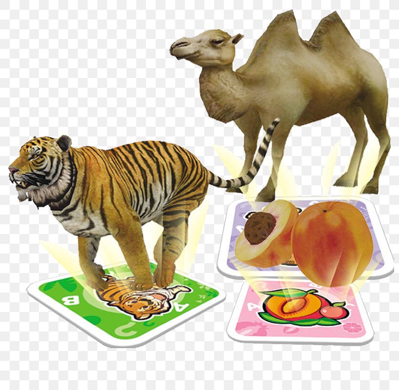 Tiger Camel Leopard Cat, PNG, 800x800px, Tiger, Big Cat, Big Cats, Camel, Carnivoran Download Free