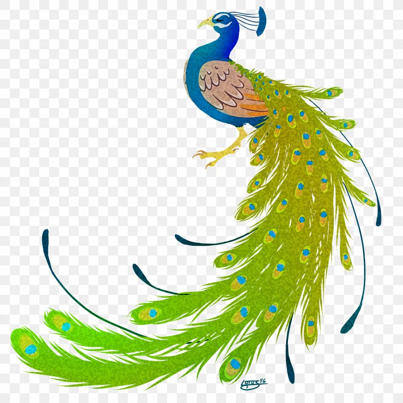 Bird Peafowl Feather Clip Art, PNG, 2112x2112px, Bird, Art, Beak, Doodle, Drawing Download Free